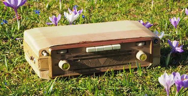 Vintage Radio auf einer Blumenwiese