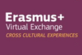Teaser_Erasmus_Virtual Exchange